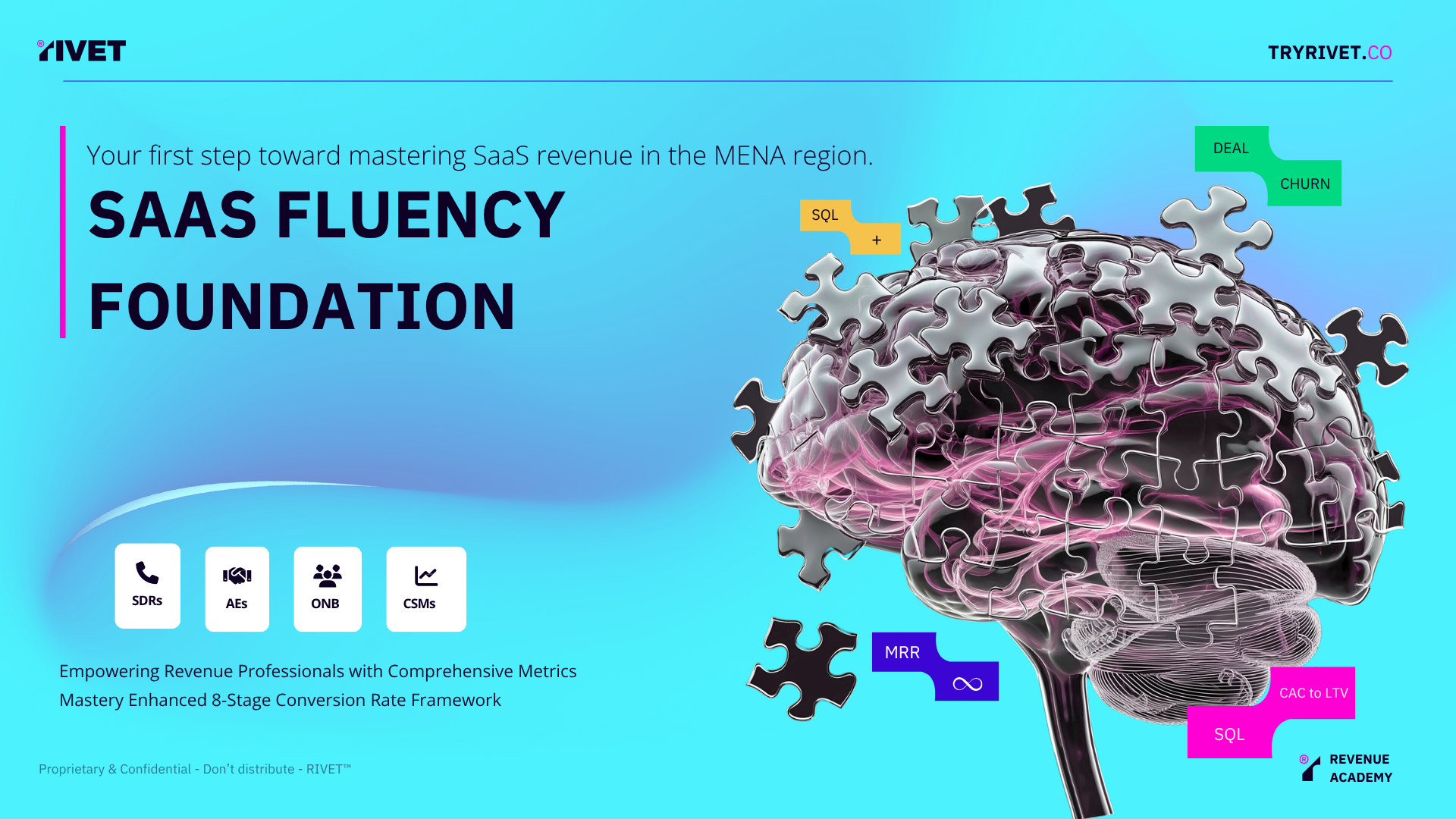 SaaS Fluency Foundation