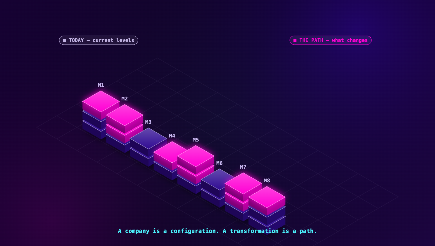 A company is a configuration; a transformation is a path from the current configuration to a target one. Magenta marks the levels that change.