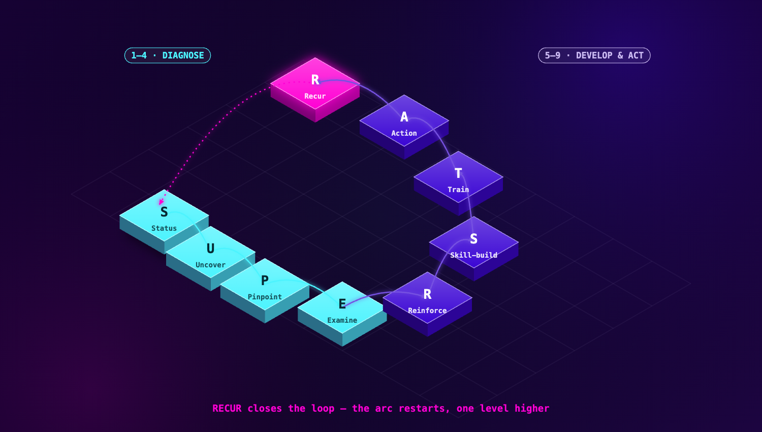 The SUPERSTAR arc: the first four steps diagnose, the last five develop and act. The loop closes at Recur and restarts.